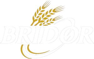 Logo Bridor