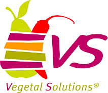 Logo Végétal Solution